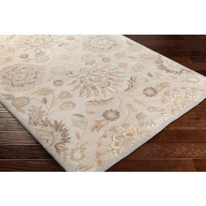 Surya Caesar CAE-1192 Taupe Traditional Tufted Rug