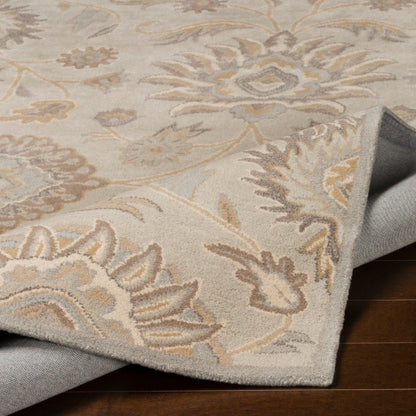 Surya Caesar CAE-1192 Taupe Traditional Tufted Rug