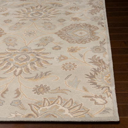 Surya Caesar CAE-1192 Taupe Traditional Tufted Rug