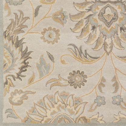 Surya Caesar CAE-1192 Taupe Traditional Tufted Rug