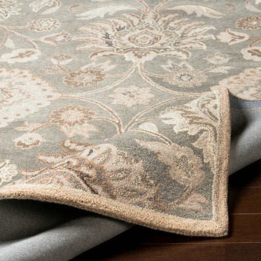 Surya Caesar CAE-1195 Taupe Traditional Tufted Rug