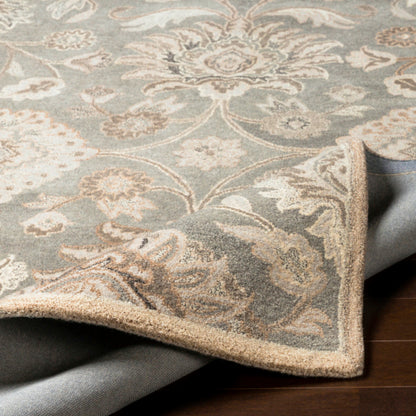 Surya Caesar CAE-1195 Taupe Traditional Tufted Rug