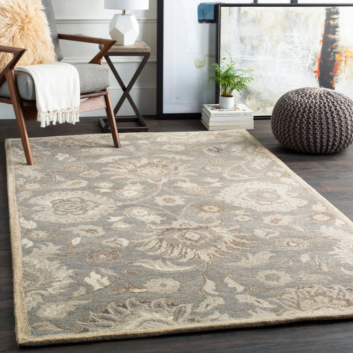 Surya Caesar CAE-1195 Taupe Traditional Tufted Rug