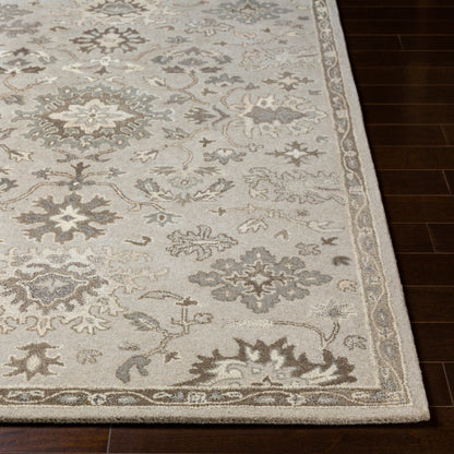 Surya Caesar CAE-1197 Taupe Traditional Tufted Rug