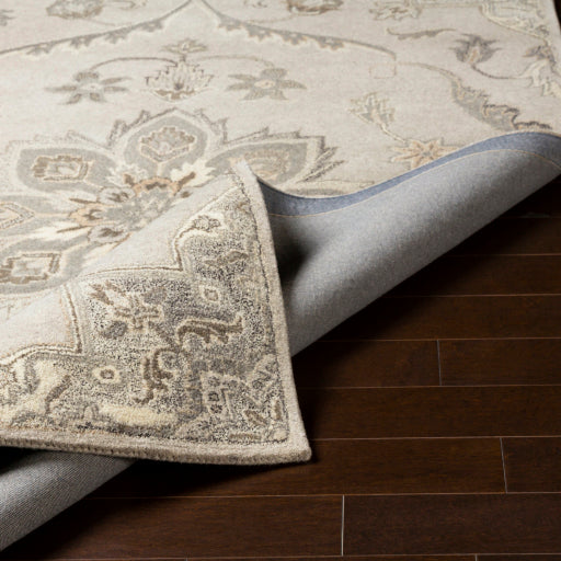 Surya Caesar CAE-1201 Taupe Traditional Tufted Rug