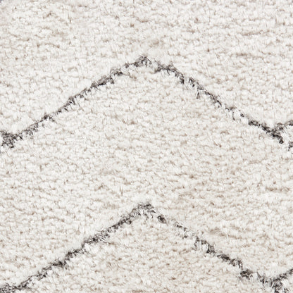 Nourison Home Dreamy Shag  Ivory Grey  Contemporary