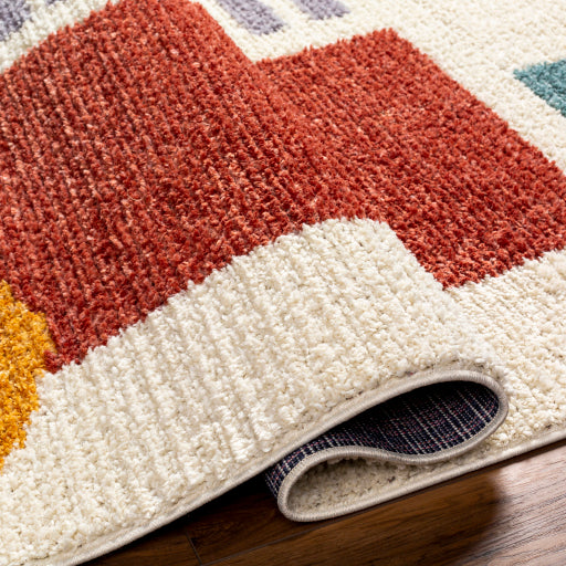 Surya Casablanca Shag CAG-2320 Ivory Modern Machinemade Rug