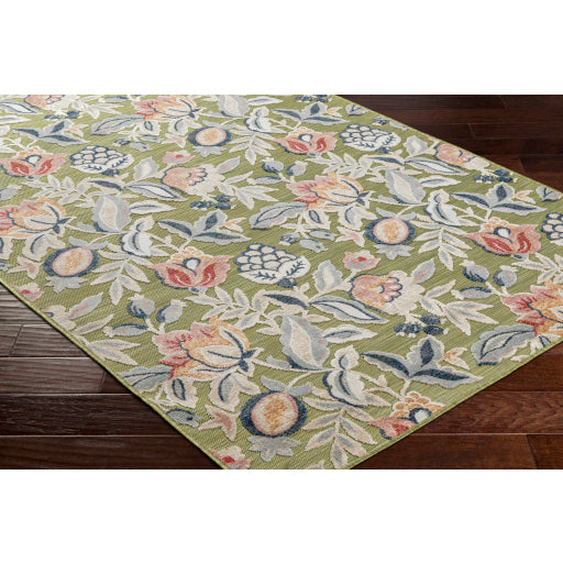 Surya Cabo CBO-2300 Olive Cottage Machinemade Rug