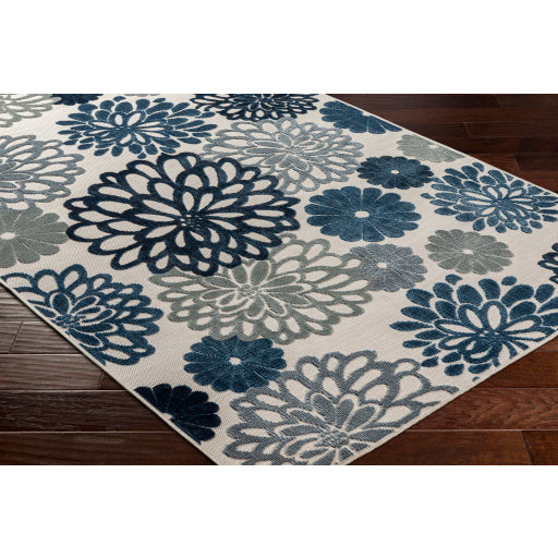 Surya Cabo CBO-2309 Off-White Cottage Machinemade Rug