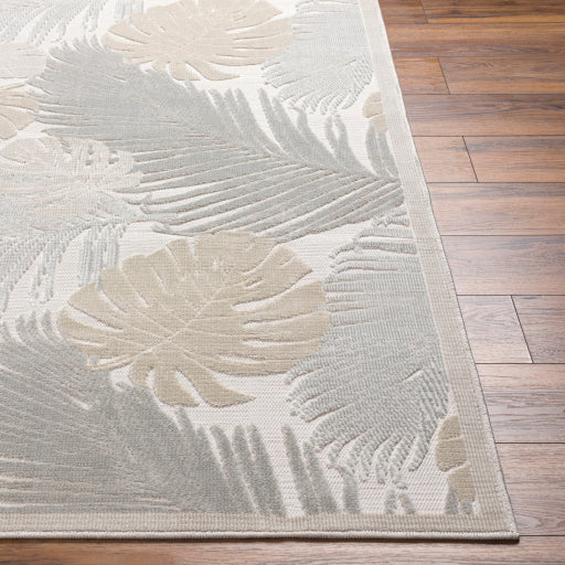 Surya Cabo CBO-2311 Ivory Coastal Machinemade Rug