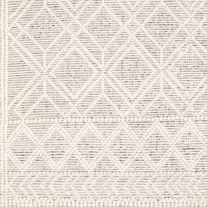 Surya Casa DeCampo CDC-2301 Ivory Cottage Woven Rug