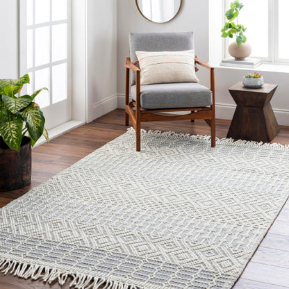 Surya Casa DeCampo CDC-2305 Off-White Global Woven Rug