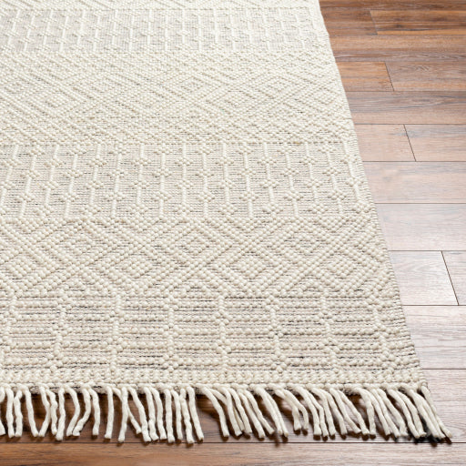 Surya Casa DeCampo CDC-2306 Off-White Global Woven Rug