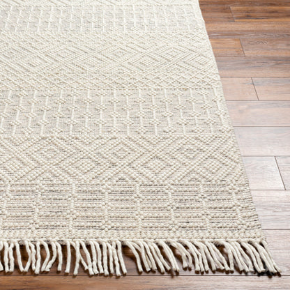 Surya Casa DeCampo CDC-2306 Off-White Global Woven Rug
