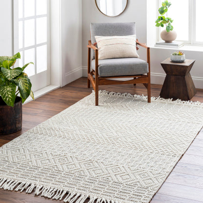 Surya Casa DeCampo CDC-2306 Off-White Global Woven Rug