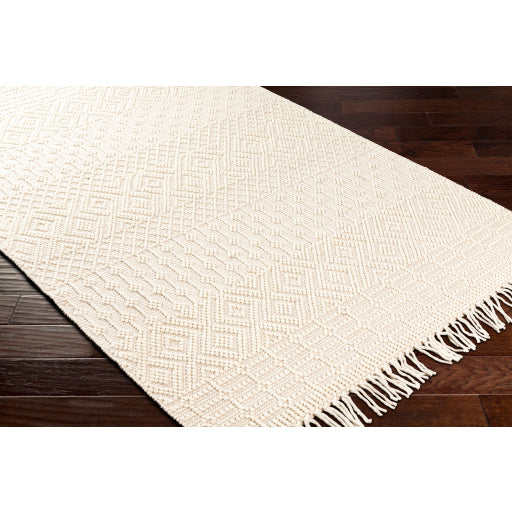 Surya Casa DeCampo CDC-2307 Ivory Global Woven Rug