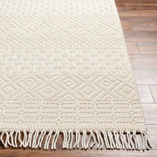 Surya Casa DeCampo CDC-2307 Ivory Global Woven Rug