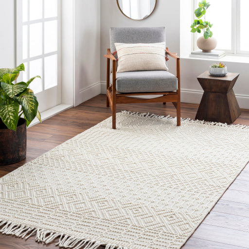 Surya Casa DeCampo CDC-2307 Ivory Global Woven Rug