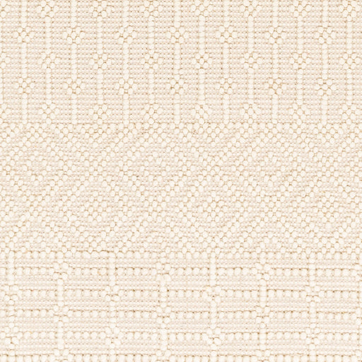 Surya Casa DeCampo CDC-2307 Ivory Global Woven Rug