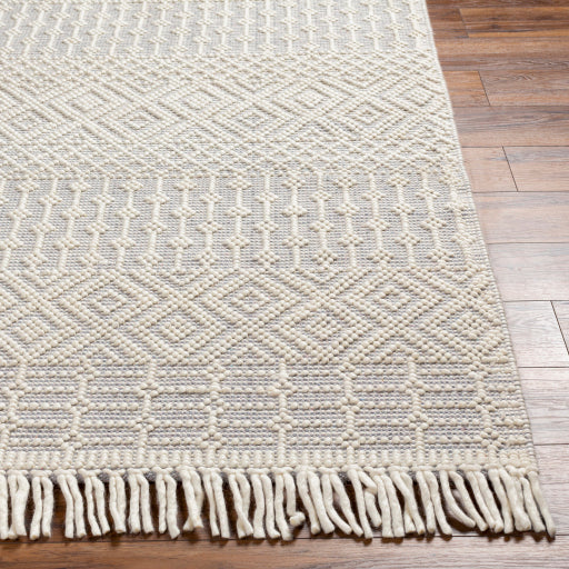 Surya Casa DeCampo CDC-2309 Ivory Global Woven Rug