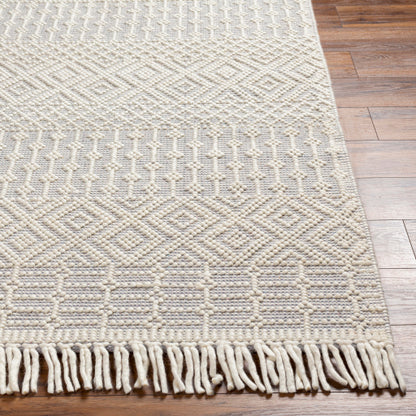 Surya Casa DeCampo CDC-2309 Ivory Global Woven Rug