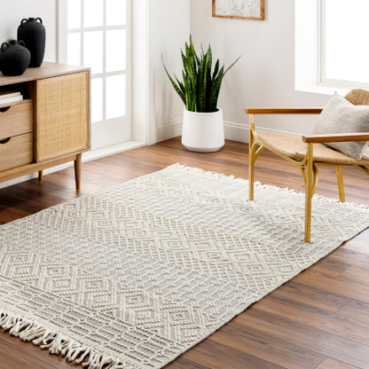 Surya Casa DeCampo CDC-2309 Ivory Global Woven Rug