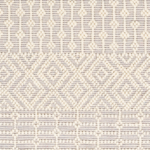 Surya Casa DeCampo CDC-2309 Ivory Global Woven Rug