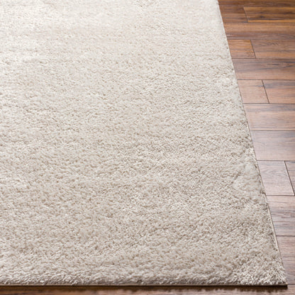 Surya Cloudy Shag CDG-2301 Light Beige Modern Machinemade Rug