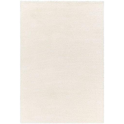 Surya Cloudy Shag CDG-2302 Off-White Modern Machinemade Rug