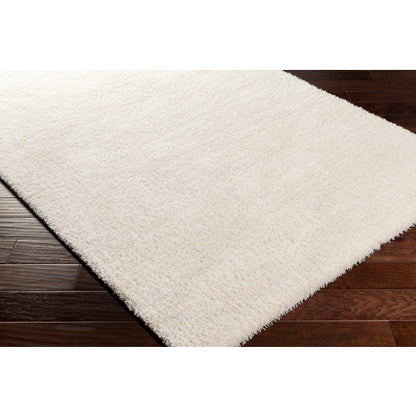 Surya Cloudy Shag CDG-2302 Off-White Modern Machinemade Rug