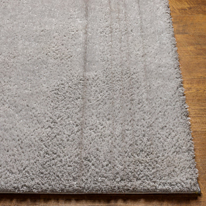 Surya Cloudy Shag CDG-2303 Gray Modern Machinemade Rug