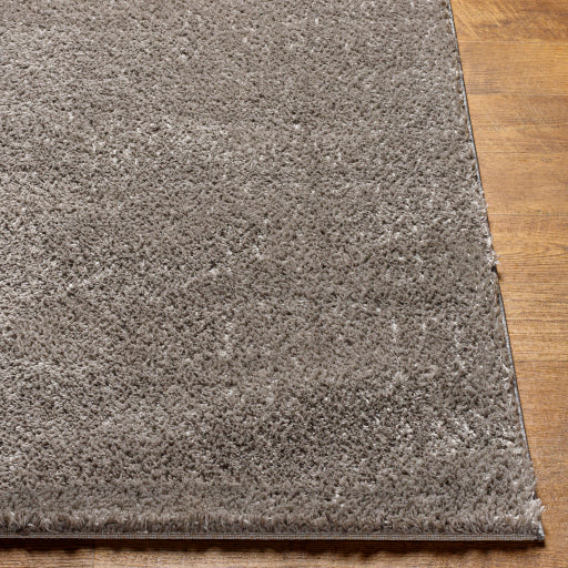 Surya Cloudy Shag CDG-2304 Charcoal Modern Machinemade Rug