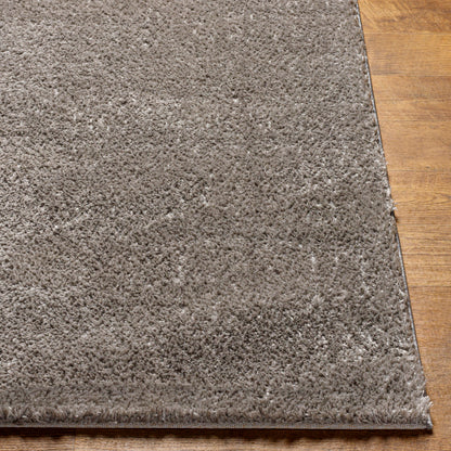 Surya Cloudy Shag CDG-2304 Charcoal Modern Machinemade Rug
