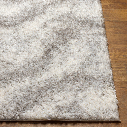 Surya Cloudy Shag CDG-2306 Off-White Modern Machinemade Rug