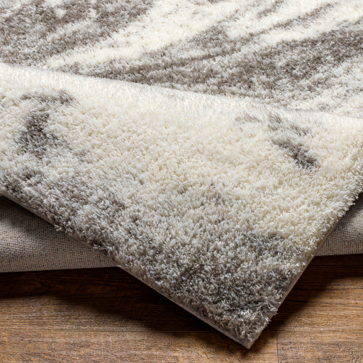 Surya Cloudy Shag CDG-2308 Off-White Modern Machinemade Rug