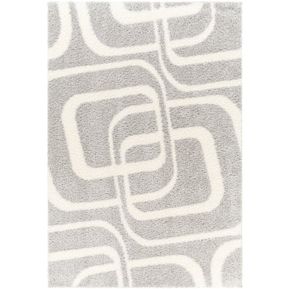 Surya Cloudy Shag CDG-2310 Gray Modern Machinemade Rug