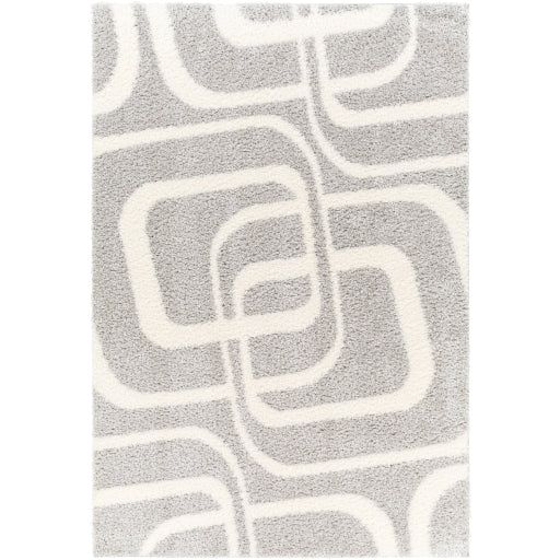 Surya Cloudy Shag CDG-2310 Gray Modern Machinemade Rug