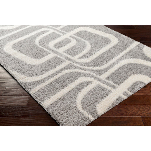 Surya Cloudy Shag CDG-2310 Gray Modern Machinemade Rug
