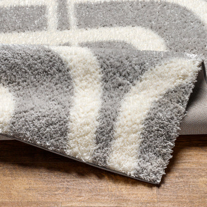 Surya Cloudy Shag CDG-2310 Gray Modern Machinemade Rug