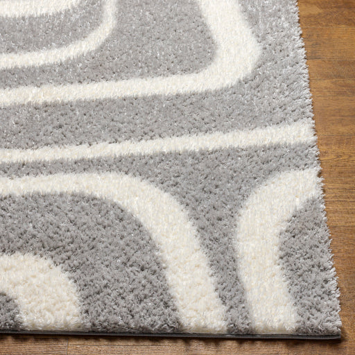 Surya Cloudy Shag CDG-2310 Gray Modern Machinemade Rug
