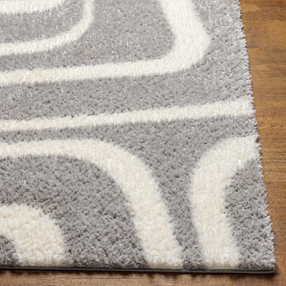 Surya Cloudy Shag CDG-2310 Gray Modern Machinemade Rug