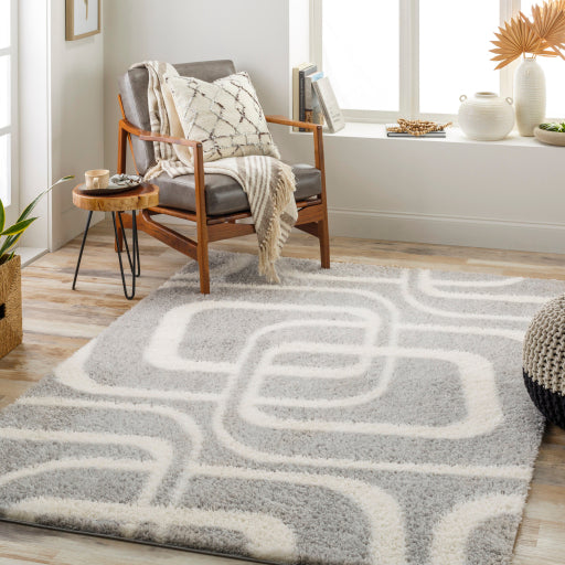 Surya Cloudy Shag CDG-2310 Gray Modern Machinemade Rug