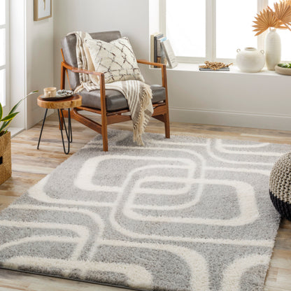 Surya Cloudy Shag CDG-2310 Gray Modern Machinemade Rug