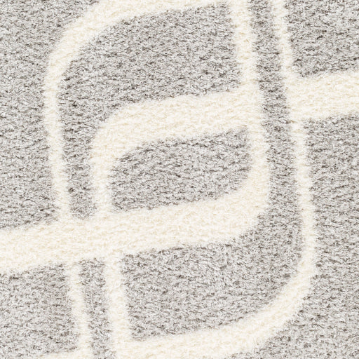 Surya Cloudy Shag CDG-2310 Gray Modern Machinemade Rug