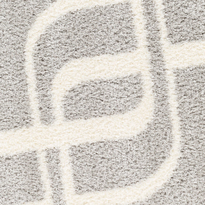 Surya Cloudy Shag CDG-2310 Gray Modern Machinemade Rug