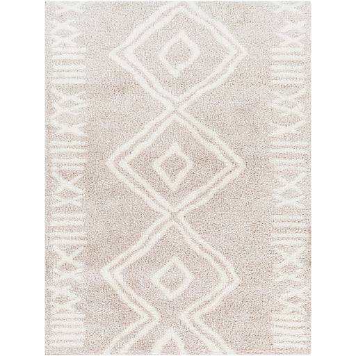 Surya Cloudy Shag CDG-2311 Light Beige Global Machinemade Rug