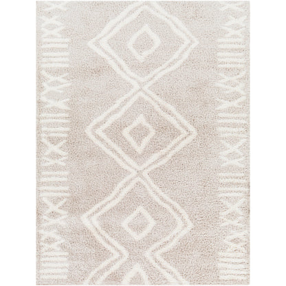 Surya Cloudy Shag CDG-2311 Light Beige Global Machinemade Rug