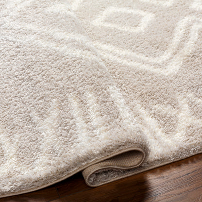 Surya Cloudy Shag CDG-2311 Light Beige Global Machinemade Rug