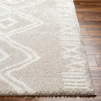 Surya Cloudy Shag CDG-2311 Light Beige Global Machinemade Rug