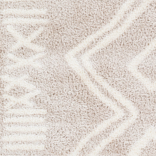 Surya Cloudy Shag CDG-2311 Light Beige Global Machinemade Rug